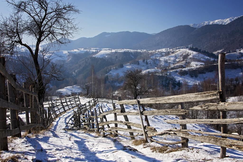 Samedru Măgura Exterior foto