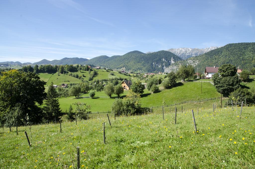 Samedru Măgura Exterior foto