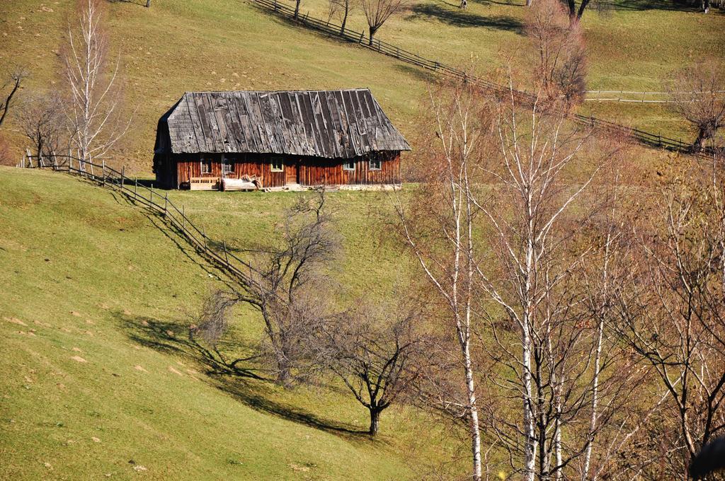 Samedru Măgura Exterior foto