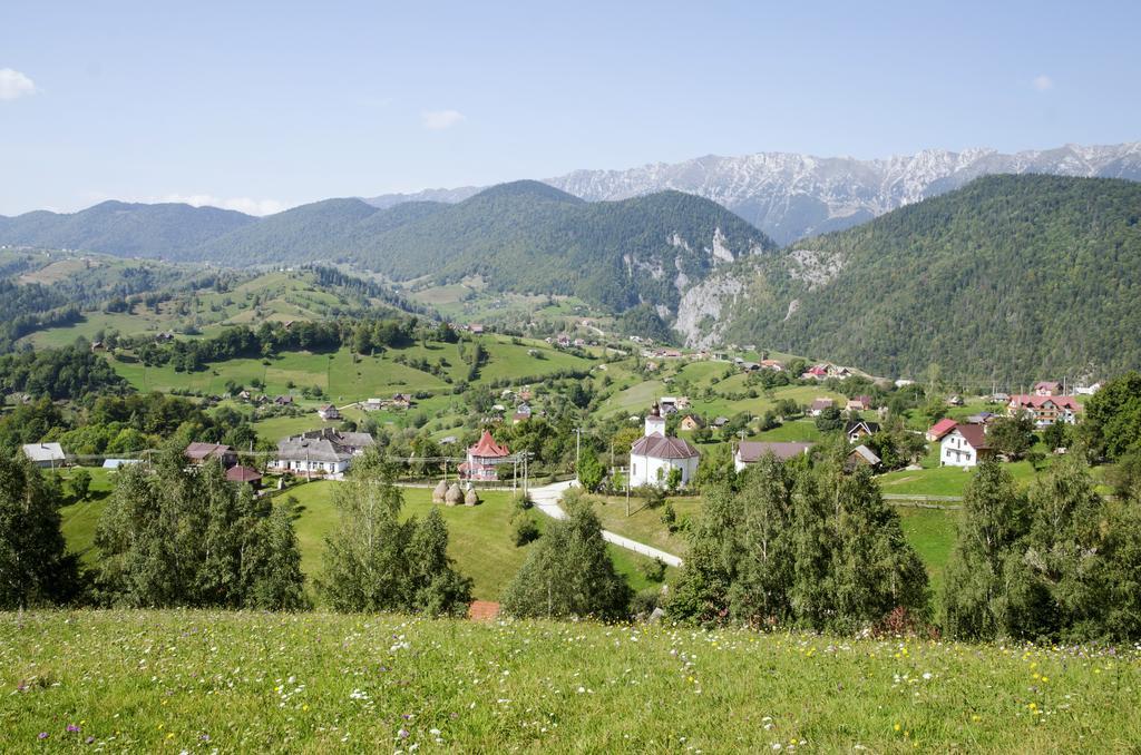 Samedru Măgura Exterior foto