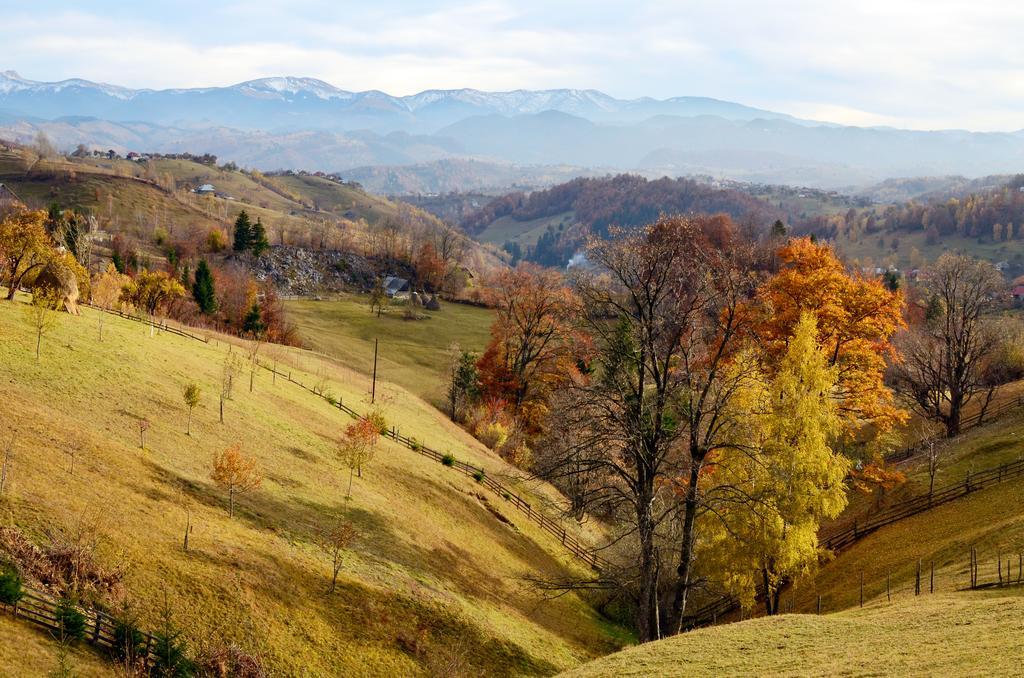 Samedru Măgura Exterior foto