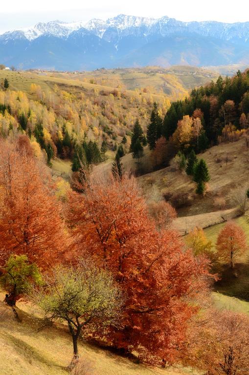 Samedru Măgura Exterior foto