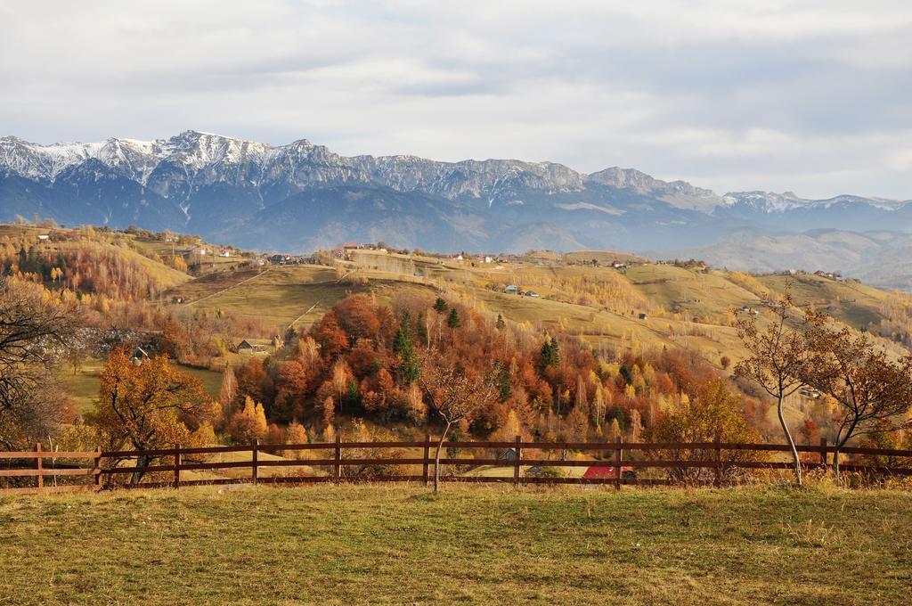 Samedru Măgura Exterior foto