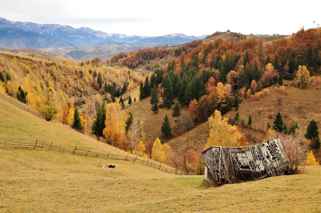 Samedru Măgura Exterior foto