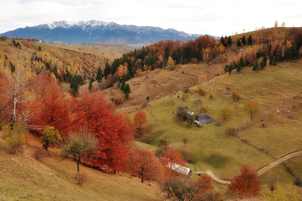 Samedru Măgura Exterior foto