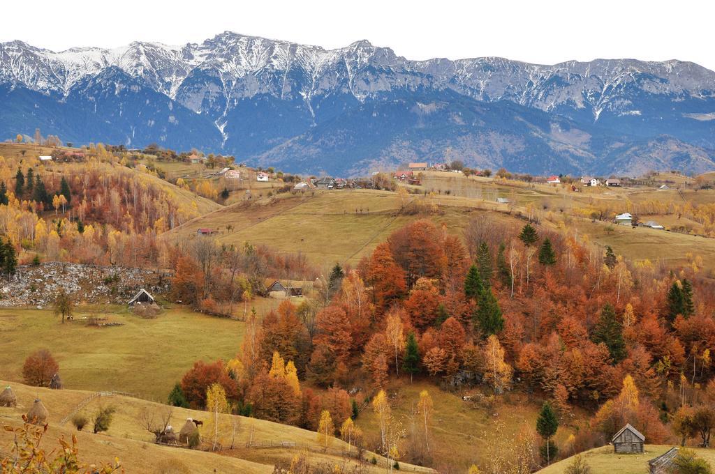 Samedru Măgura Exterior foto